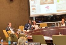 À Strasbourg, Mohamed Diawara incarne la voix de l’Afrique au cœur des débats judiciaires européens