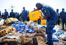 Opération de lutte contre le trafic de drogues en Guinée: Plus de 10 tonnes de substances illicites incinérées