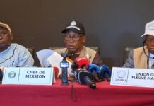 Élection présidentielle du 28 décembre: La CEDEAO rend le verdict de son observation